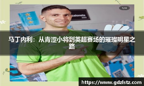 马丁内利：从青涩小将到英超赛场的璀璨明星之路