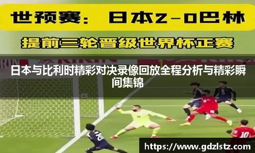多多28网址