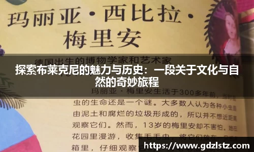探索布莱克尼的魅力与历史：一段关于文化与自然的奇妙旅程